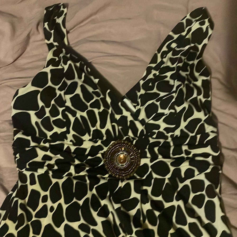 Animal Print Dress